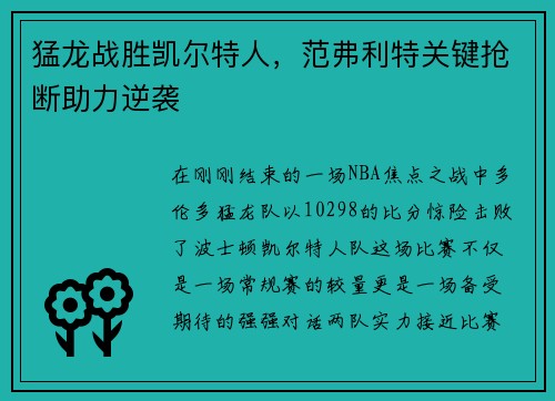 猛龙战胜凯尔特人，范弗利特关键抢断助力逆袭